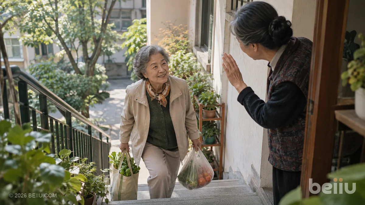 Why Healthy Ageing Focuses on Functional Ability